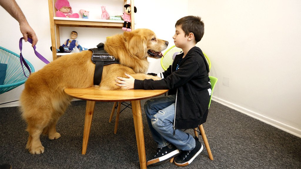 Entrenamiento de perros de terapia
