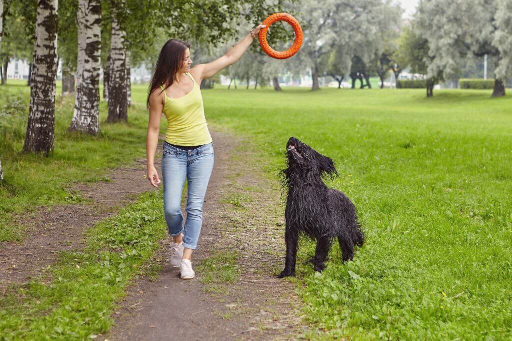 Cómo enseñar a saltar a un perro