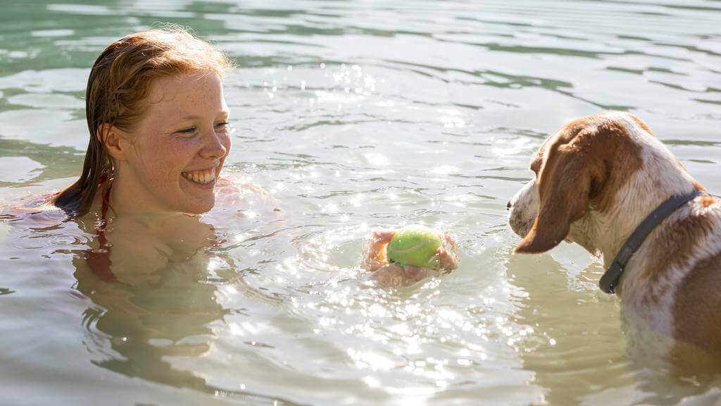 Cómo enseñar a nadar a tu perro