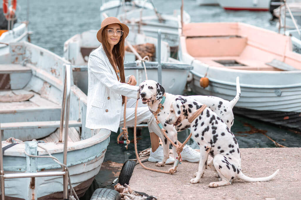 Cómo viajar con un perro en un barco